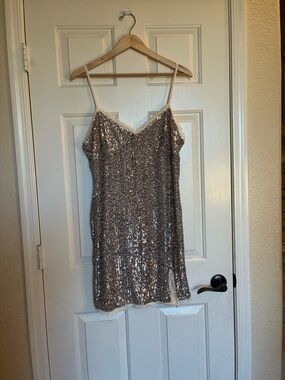 wild fable Silver Sequin Mini Dress